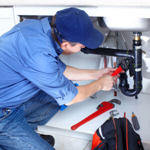 plumbers commercial insurance in tampa and temple terrace FL