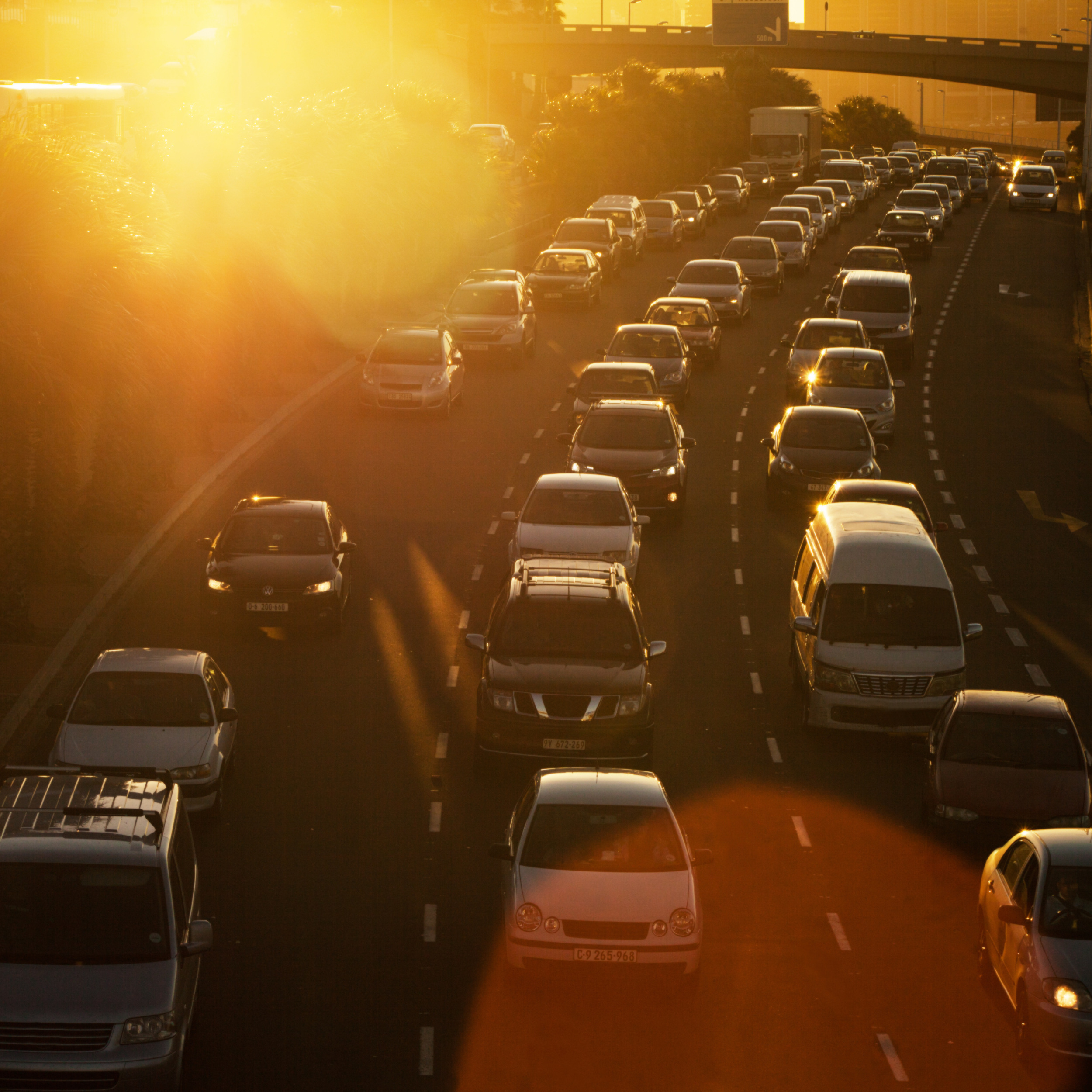 Personal insurance policies in Wesley Chapel, FL